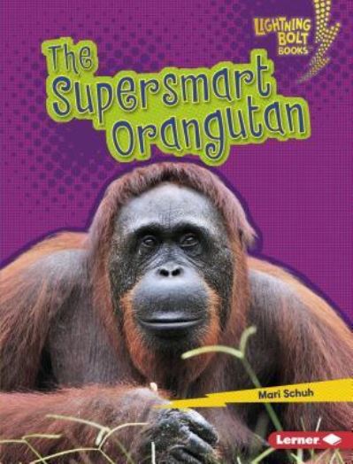 Cover for Mari C. Schuh · Supersmart Orangutan (Book) (2018)