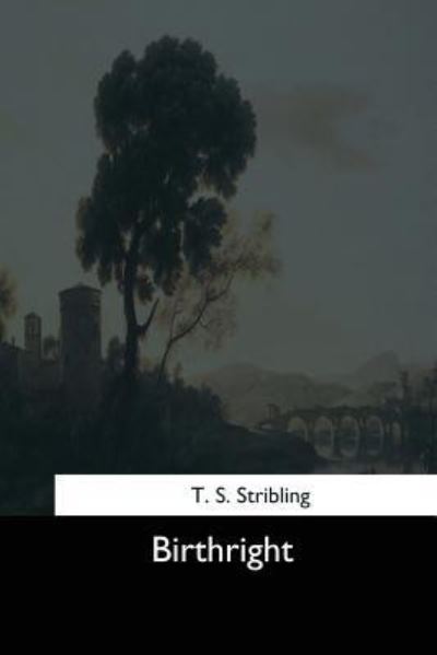 Cover for T S Stribling · Birthright (Paperback Book) (2017)