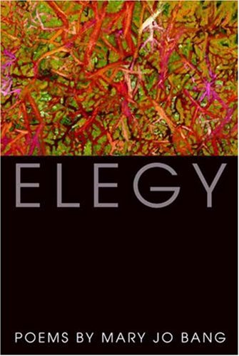 Cover for Mary Jo Bang · Elegy: Poems (Hardcover Book) (2007)