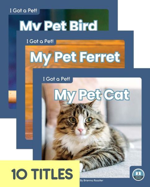 Cover for Brienna Rossiter · I Got a Pet! (Set of 10) (Inbunden Bok) (2022)