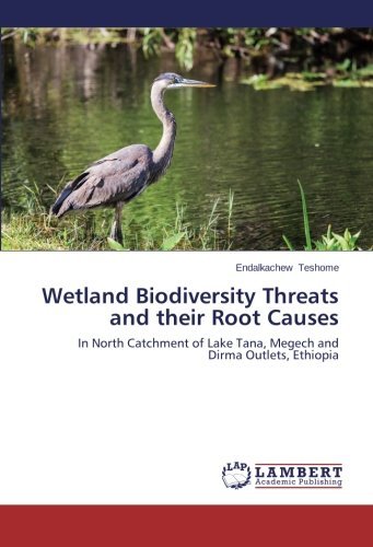 Cover for Endalkachew Teshome · Wetland Biodiversity Threats and Their Root Causes: in North Catchment of Lake Tana, Megech and Dirma Outlets, Ethiopia (Paperback Bog) (2014)