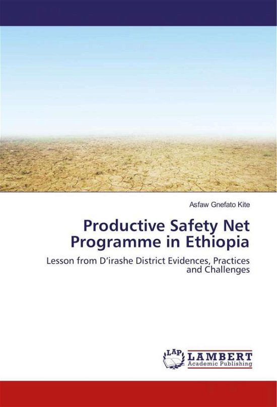 Cover for Kite · Productive Safety Net Programme in (Book)