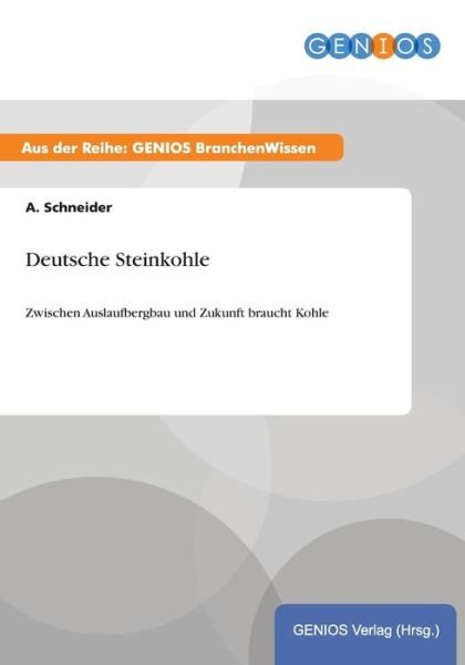 Cover for A Schneider · Deutsche Steinkohle (Paperback Book) (2015)