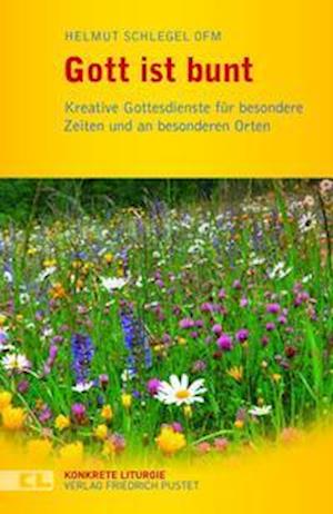 Gott ist bunt - Helmut Schlegel - Books - Pustet, Friedrich GmbH - 9783791732831 - September 13, 2021