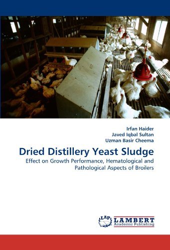 Cover for Uzman Basir Cheema · Dried Distillery Yeast Sludge: Effect on Growth Performance, Hematological and Pathological Aspects of Broilers (Paperback Bog) (2010)