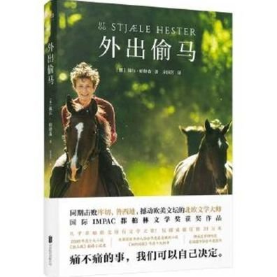 Out Stealing Horses - Per Petterson - Bøger - Bei Jing Lian He Chu Ban Gong Si - 9787559631831 - 7. november 2019