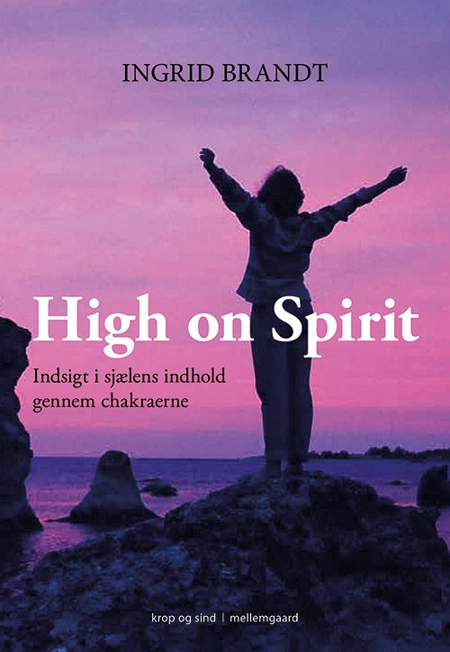 Cover for Ingrid Brandt · High on Spirit (Sewn Spine Book) [1st edition] (2019)