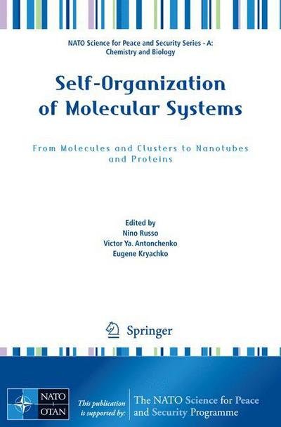Cover for Nino Russo · Self-Organization of Molecular Systems: From Molecules and Clusters to Nanotubes and Proteins - NATO Science for Peace and Security Series A: Chemistry and Biology (Paperback Book) [2009 edition] (2009)