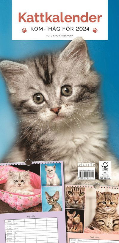 Cover for Bokförlaget Semic · Kattkalender 2024 (Spiralbuch) (2023)