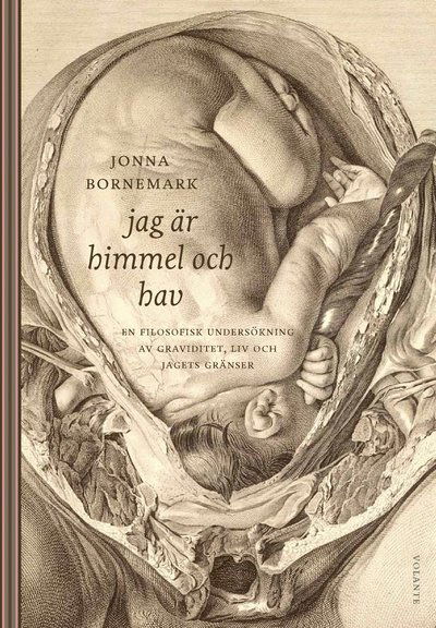 Cover for Jonna Bornemark · Jag är himmel och hav : en filosofisk undersökning av graviditet, liv och jagets gränser (Hardcover Book) (2022)