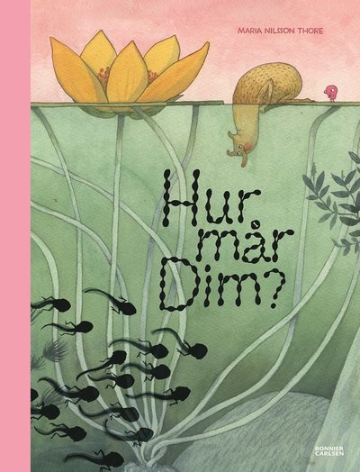 Cover for Maria Nilsson Thore · Hur mår Dim? (N/A) (2023)