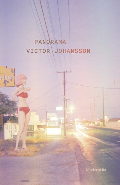 Cover for Victor Johansson · Panorama (Hardcover Book) (2025)