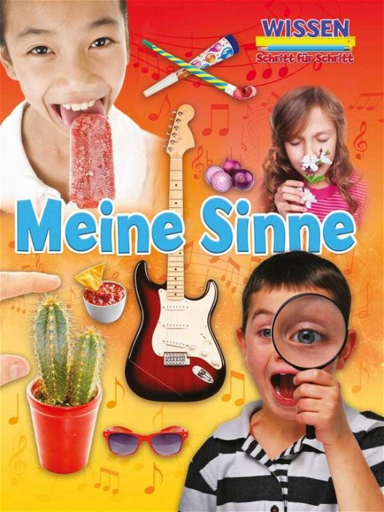 Cover for Owen · Meine Sinne (Bok)