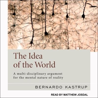 Cover for Bernardo Kastrup · The Idea of the World (CD) (2019)