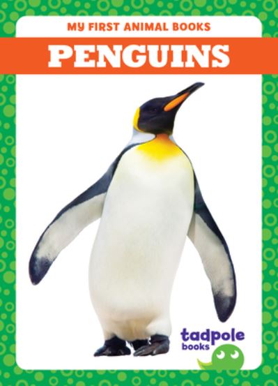 Cover for Natalie Deniston · Penguins - My First Animal Books (Hardcover Book) (2024)