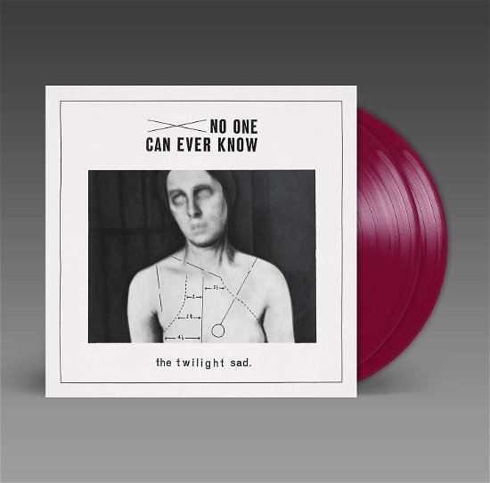 Cover for Twilight Sad · No One Can Ever Know (LP) (2020)