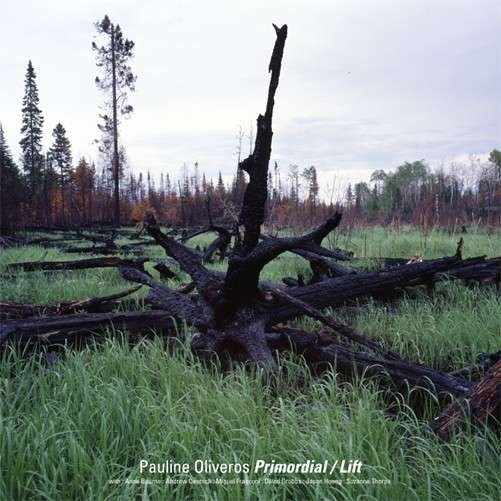 Cover for Pauline Oliveros · Primordial / Lift (LP) [Limited edition] (2012)