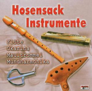 Cover for Hosensack Instrumente · Deleted - Hosensack Instrument (CD) (2006)