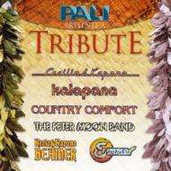 Cover for Pali · Pali Presents a Tribute (CD) [Japan Import edition] (2007)