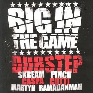Big In The Game Dubstep / Various - Big Inthe Game - Música - HARMLESS - 5014797020832 - 3 de septiembre de 2018