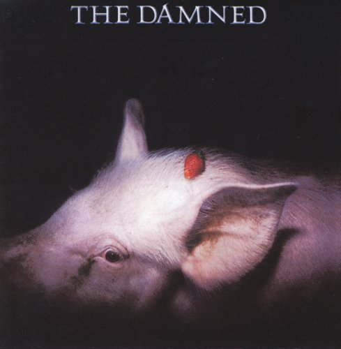 Strawberries - The Damned - Musik - Castle - 5050749410832 - 3. marts 2008
