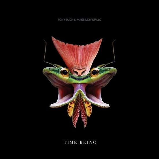 Cover for Tony Buck and Massimo Pupillo · Time Being LP (LP) (2019)