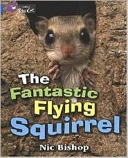 Cover for Nic Bishop · The Fantastic Flying Squirrel: Band 04/Blue - Collins Big Cat (Paperback Book) (2005)