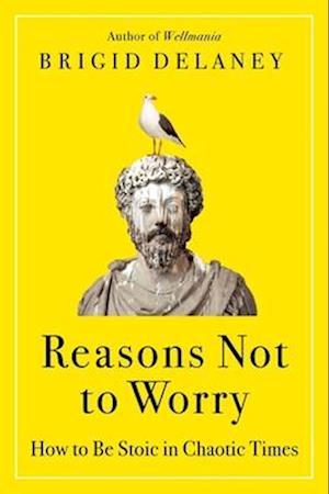 Cover for Brigid Delaney · Reasons Not to Worry (Book) (2024)