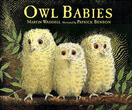Owl Babies Big Book - Martin Waddell - Libros - Candlewick - 9780763612832 - 1 de agosto de 2000