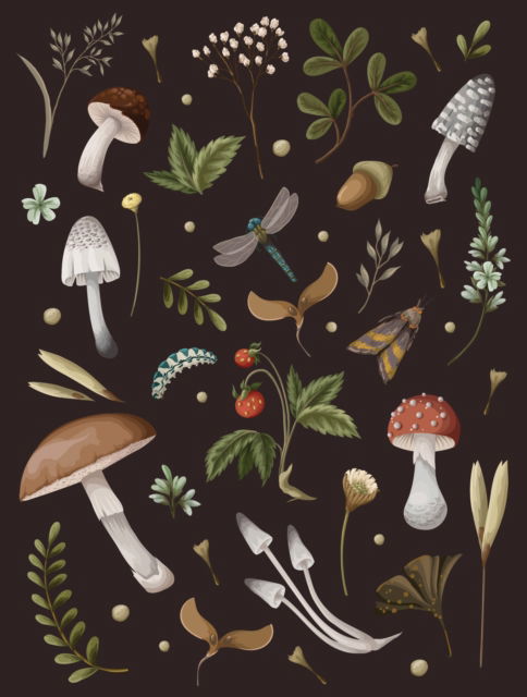 Cover for Editors of Chartwell Books · Mushroom Lined Journal (Paperback Book) (2023)