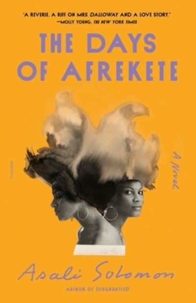 Cover for Asali Solomon · The Days of Afrekete: A Novel (Paperback Book) (2022)