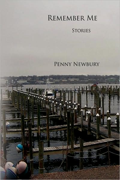 Cover for Penny Newbury · Remember Me (Hardcover Book) (2008)