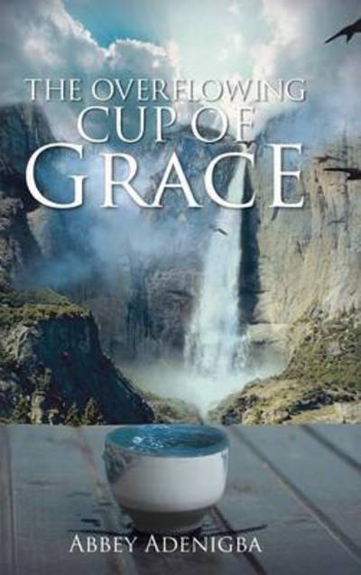 Cover for Abbey Adenigba · The Overflowing Cup of Grace (Hardcover Book) (2013)