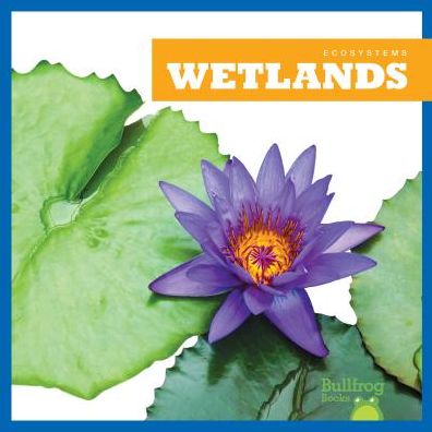 Cover for Nadia Higgins · Wetlands - Ecosystems (Hardcover Book) (2019)