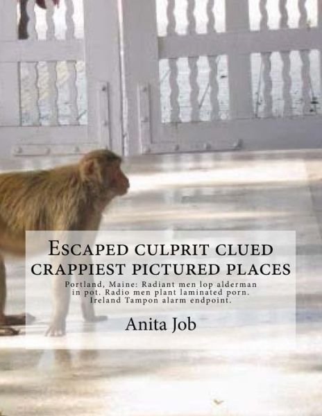 Cover for Anita &quot;agent_0pf0&quot; Job · Escaped culprit clued crappiest pictured places (Paperback Book) (2018)