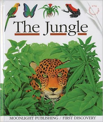 Cover for Rene Mettler · The Jungle (First Discovery) (Paperback Book) (2006)