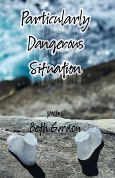 Cover for Beth Gordon · Particularly Dangerous Situation (Paperback Book) (2020)