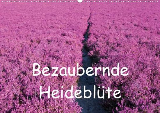 Bezaubernde Heideblüte (Wandk - Valentino - Bøger -  - 9783671581832 - 