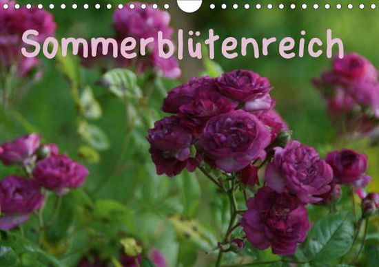 Cover for Meister · Sommerblütenreich (Wandkalender (Book)