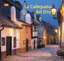 Cover for Salfellner · La Callejuela del Oro (Book)