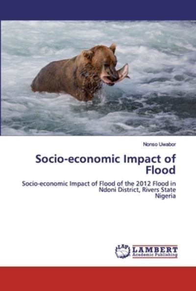 Cover for Nonso Uwabor · Socio-economic Impact of Flood (Paperback Book) (2019)