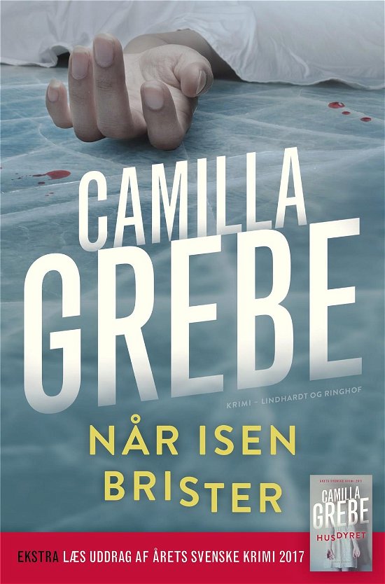 Cover for Camilla Grebe · Den mørke side: Når isen brister (Pocketbok) [3. utgave] (2018)