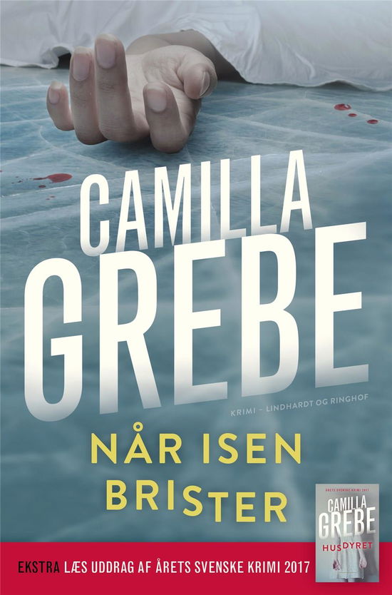 Cover for Camilla Grebe · Den mørke side: Når isen brister (Paperback Book) [3. Painos] (2018)