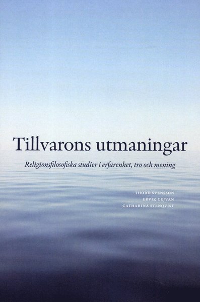 Cover for Ervik Cejvan, Erik Edqvist, Patrik Fridlund, Ulrica Fritzon, Matz Hammarström, Gerth Hyrknäs, Martin Lembke, Johan Modée, Catharina Stenqvist, Leif Stille, Thord Svensson · Tillvarons utmaningar : religionsfilosofiska studier i erfarenhet, tro och mening (Paperback Book) (2012)