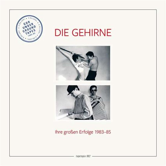 Cover for Die Gehirne · Tapetopia 002: Ihre Grosen Erfolge 1983-85 (LP) (2020)