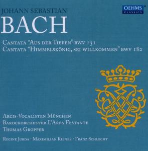 Cantatas for Solo Choir & Orchestra - Bach,j.s. / Arcis Vocalisten / Gropper / Boaf - Musik - Oehms - 4260034867833 - 22. februar 2011