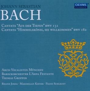 Cover for Bach,j.s. / Arcis Vocalisten / Gropper / Boaf · Cantatas for Solo Choir &amp; Orchestra (CD) (2011)