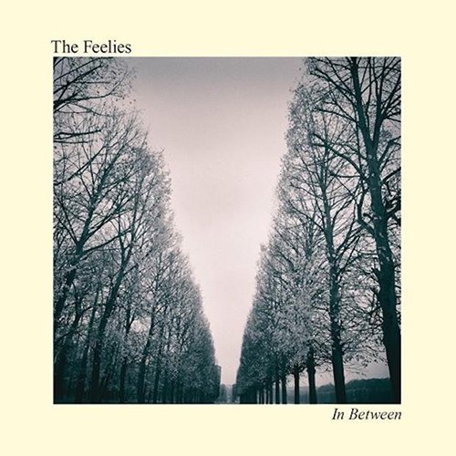 Cover for The Feelies · In Between (CD) [Japan Import edition] (2017)