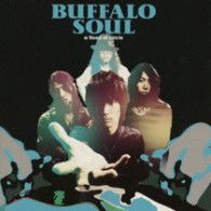 Cover for A Flood of Circle · Buffalo Soul (CD) [Japan Import edition] (2009)