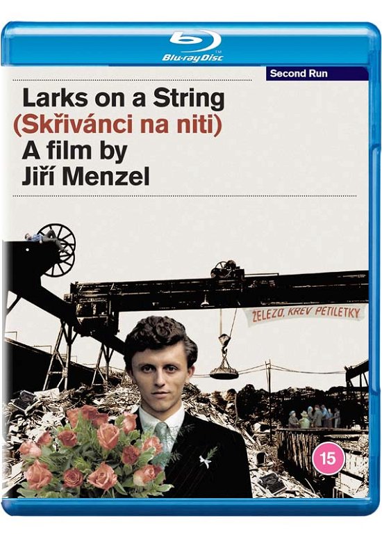 Cover for Larks on a String BD · Larks On A String (Blu-ray) (2022)
